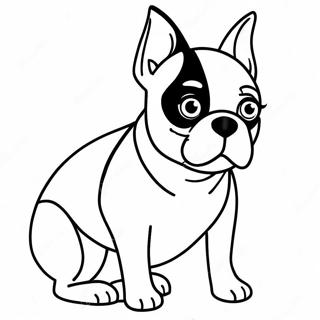 Boston Terrier Fargeleggingsark 16422-13839