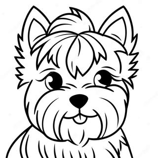 Yorkshire Terrier Fargeleggingsark