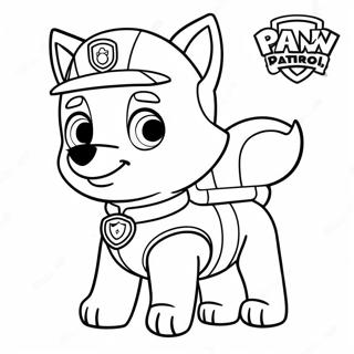 Ryder Paw Patrol Fargeleggingsark 20100-18711