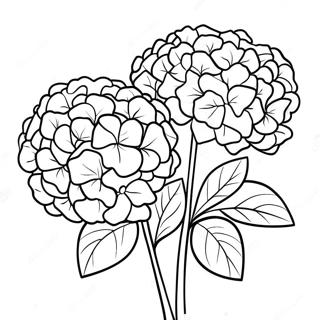 Vakker Hortensia Bukett Fargeleggingsark 36184-30181