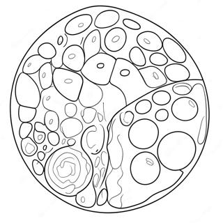 Dyrecelle Diagram Fargeleggingsark 40618-33663