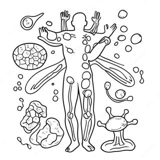 Immunsystem Diagram Fargeleggingsark 46263-38530