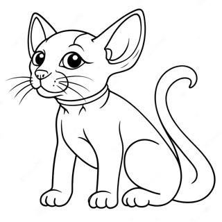 Sphynx Katt Fargeleggingsark 47383-39432