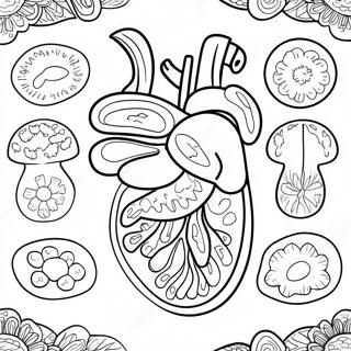 Fargerike Fordoyelsesorganer Fargeleggingsark 53639-44716