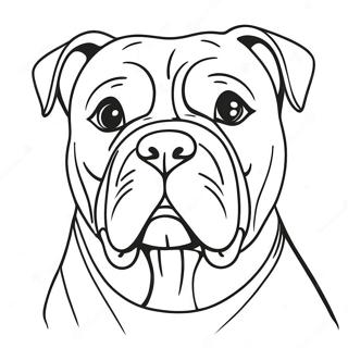 Amerikansk Bulldog Fargeleggingsark 62066-51434