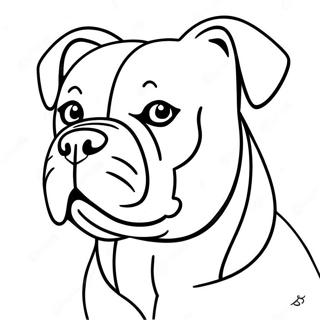 Amerikansk Bulldog Fargeleggingsark 62066-51436